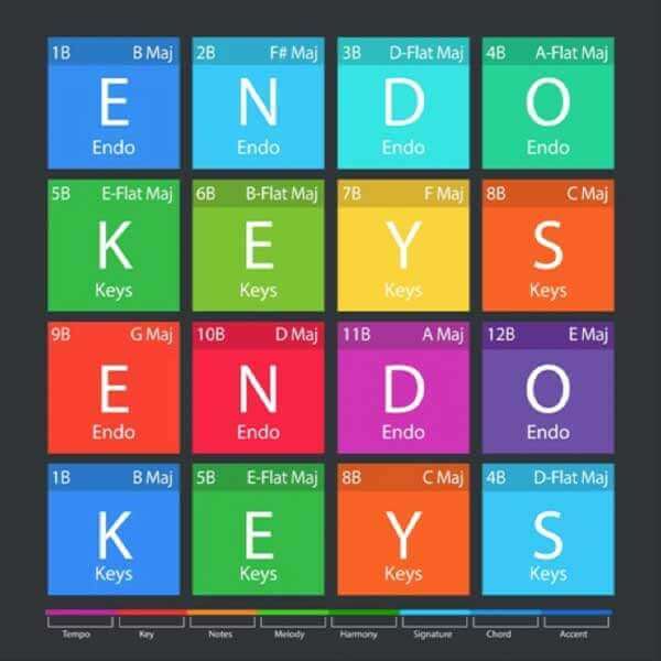 Endo Keys